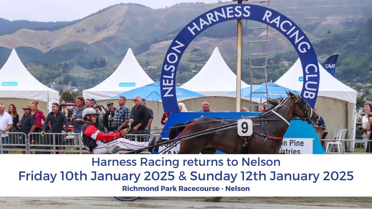 Nelson Summer Racing - Day 2