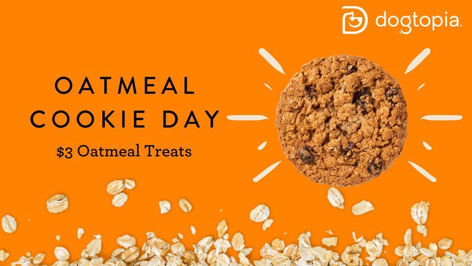 Oatmeal Cookie Day @ Dogtopia