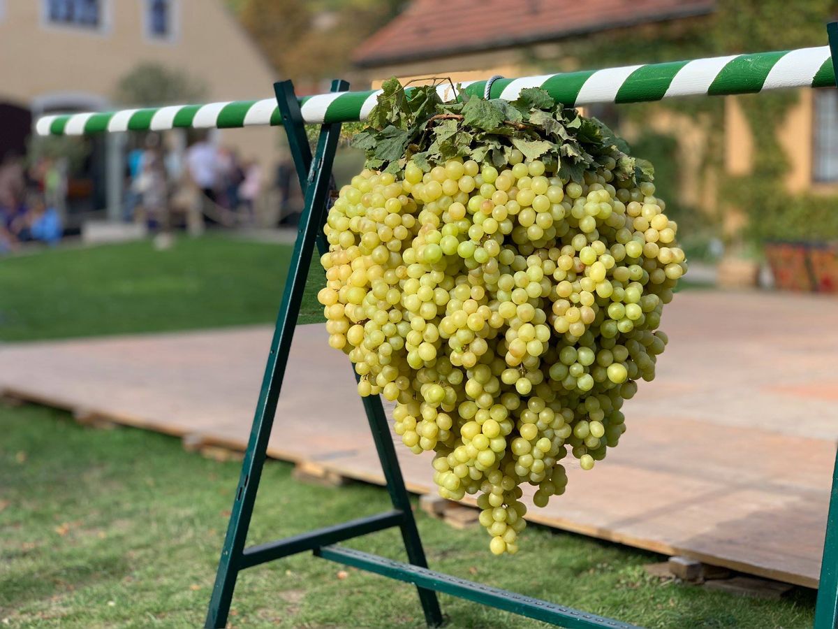 8. Churf\u00fcrstliches Weinbergfest