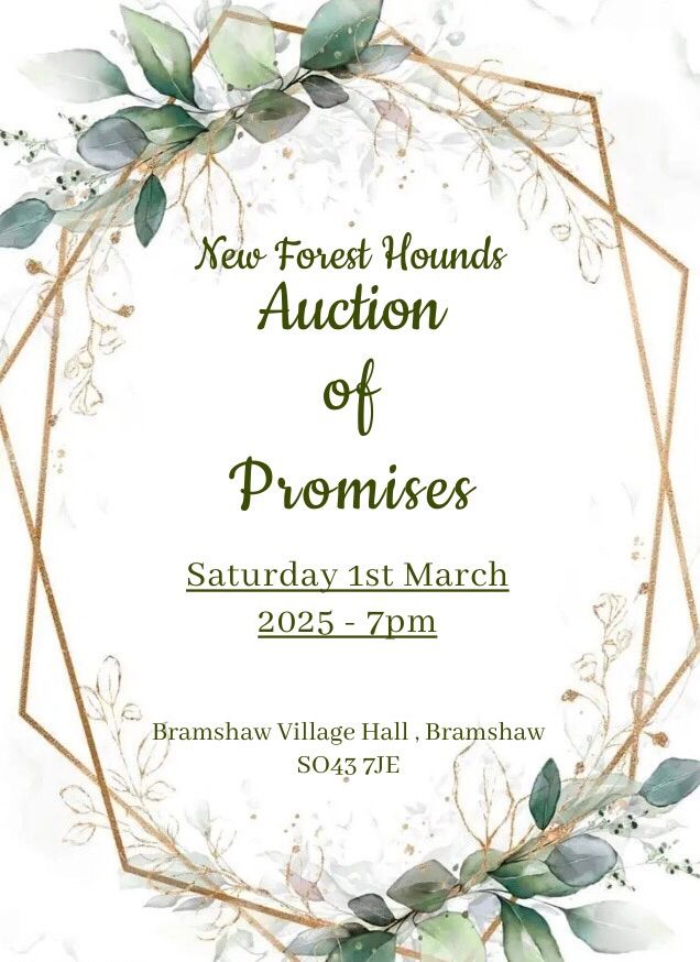 NFH Auction of Promises