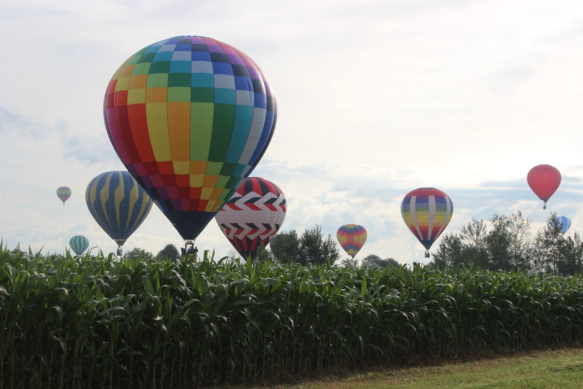 Dairyland Balloon Jubilee