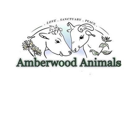 Amberwood Animals
