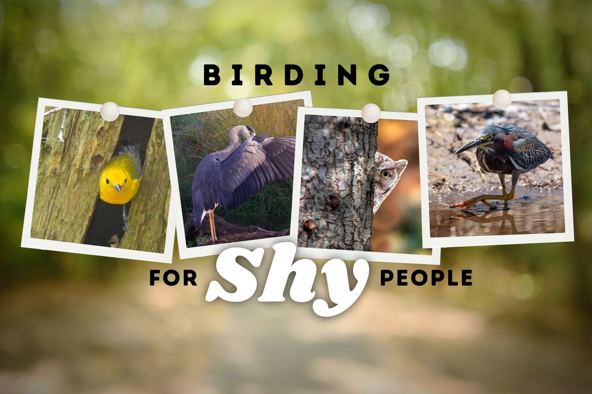 Birding for Shy People