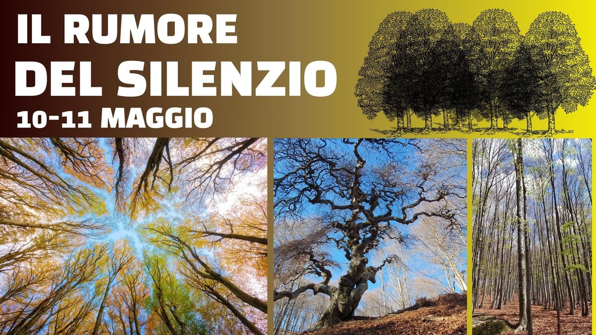 Il rumore del silenzio - 2 giorni nelle foreste di faggio