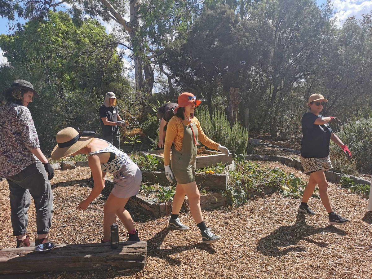 Permaculture Workshop - The Farmhouse