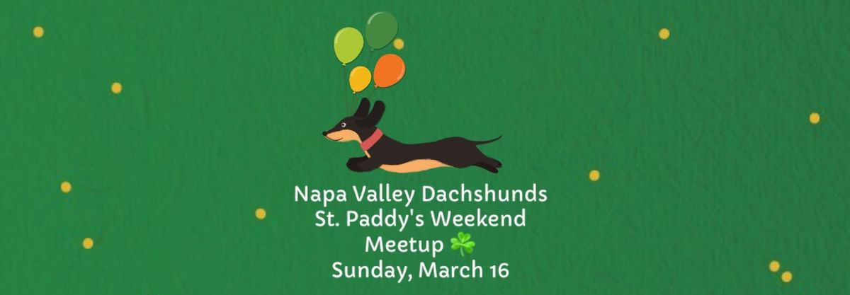 Napa Valley Dachshunds Social Meetup