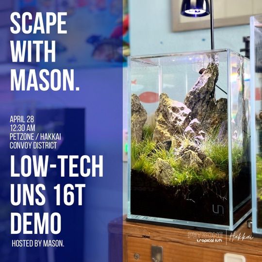 Nature Unfiltered: DIY Low-Tech Aquascaping Demo with Mason