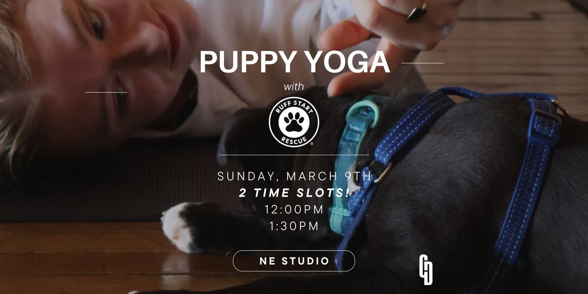 Puppy Yoga with Ruff Start Rescue at Carpe Diem Yoga Studio