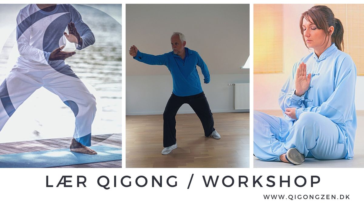 Shaolin Qigong Workshop \/ grundmodul til instrukt\u00f8rudd. \u00c5rhus