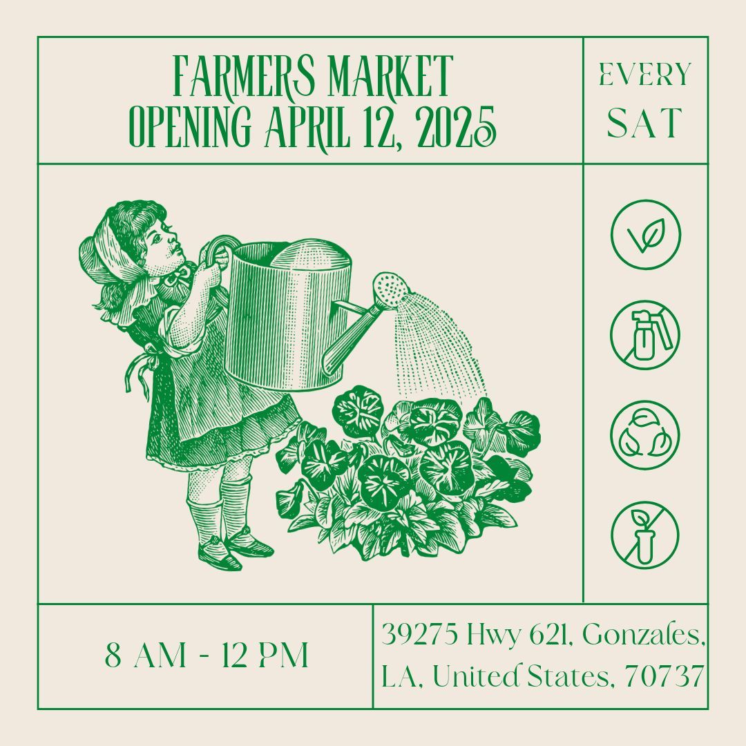 Spring Market Opening