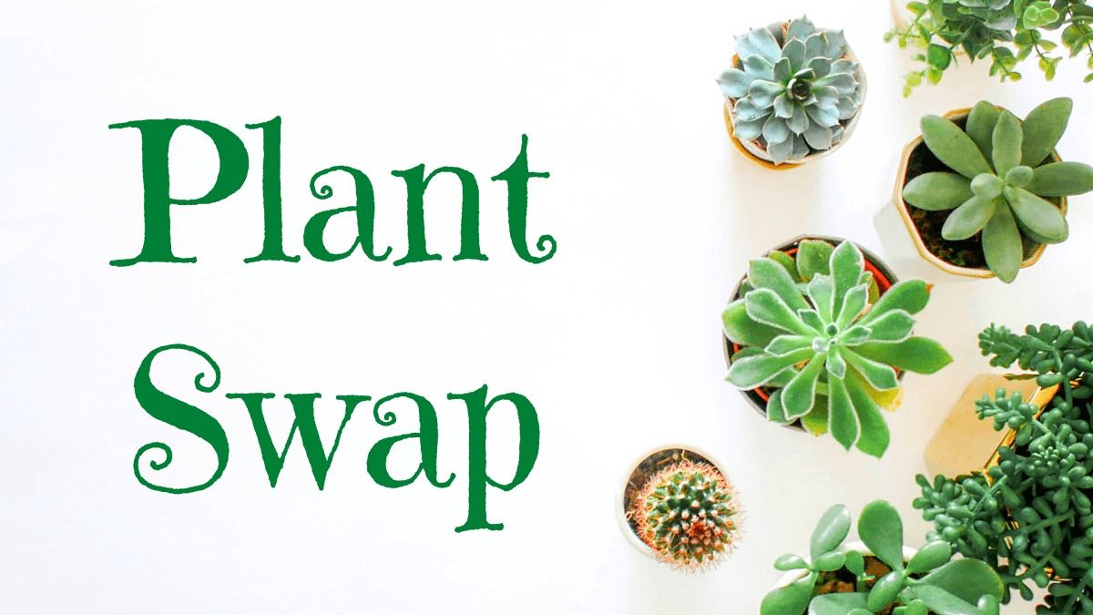 Fifth Annual Plant Swap ~ Northwest Library Gazebo