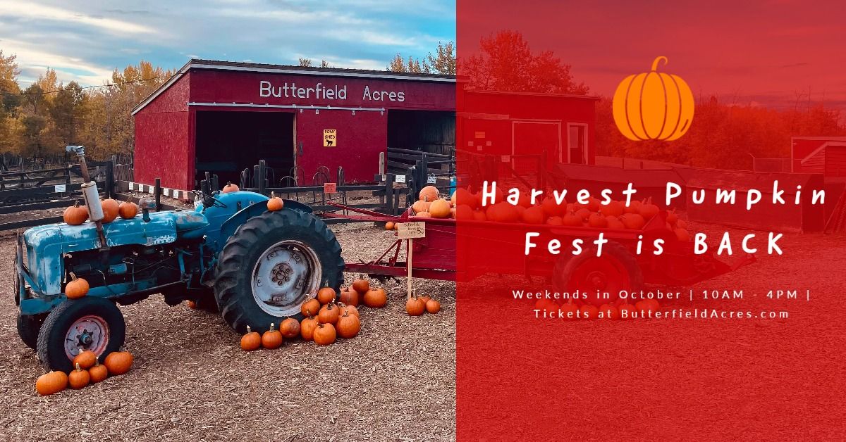 Harvest Pumpkin Fest