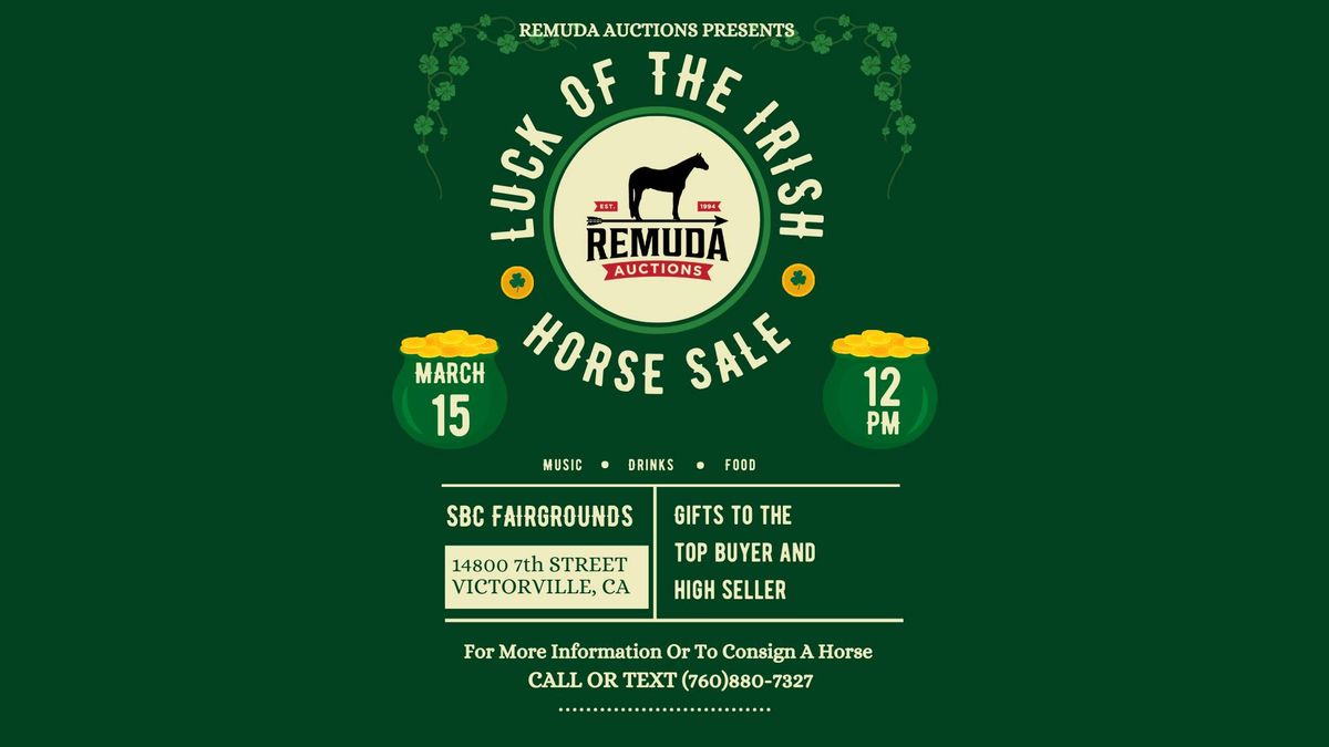 2025 Luck Of The Irish Horse Sale