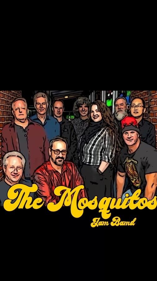 The Mosquitos - 3\/9 Toadstool Pub - Highwood 