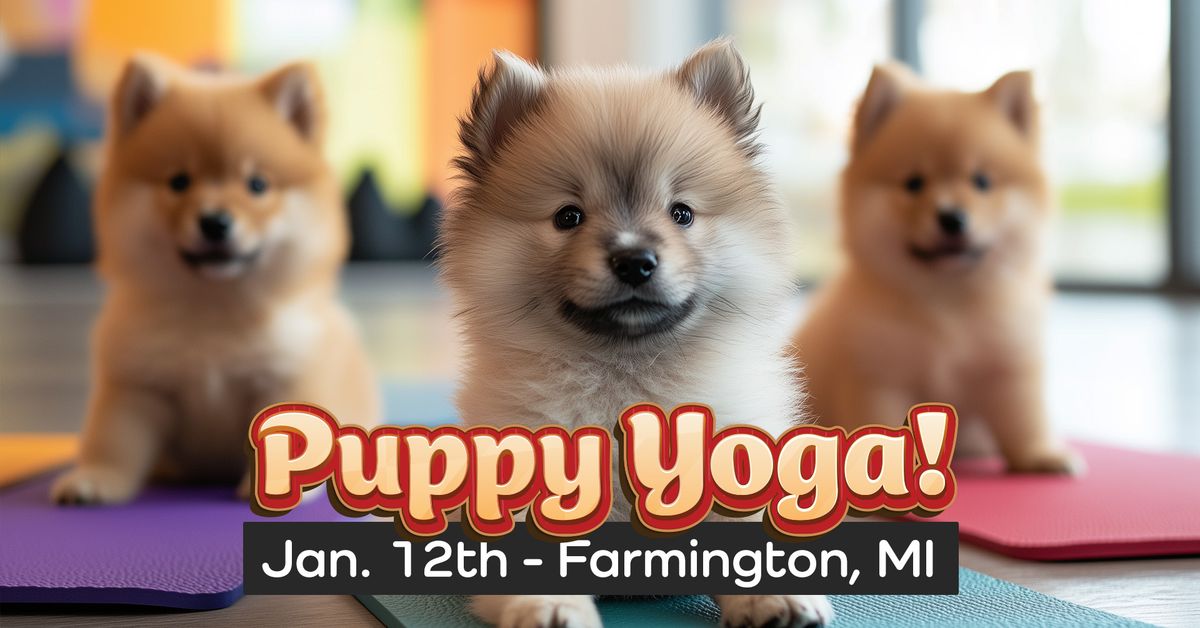 Puppy Yoga - TWO Classes!