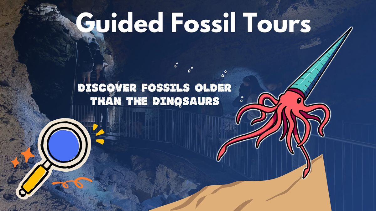 Guided Fossil Tours 