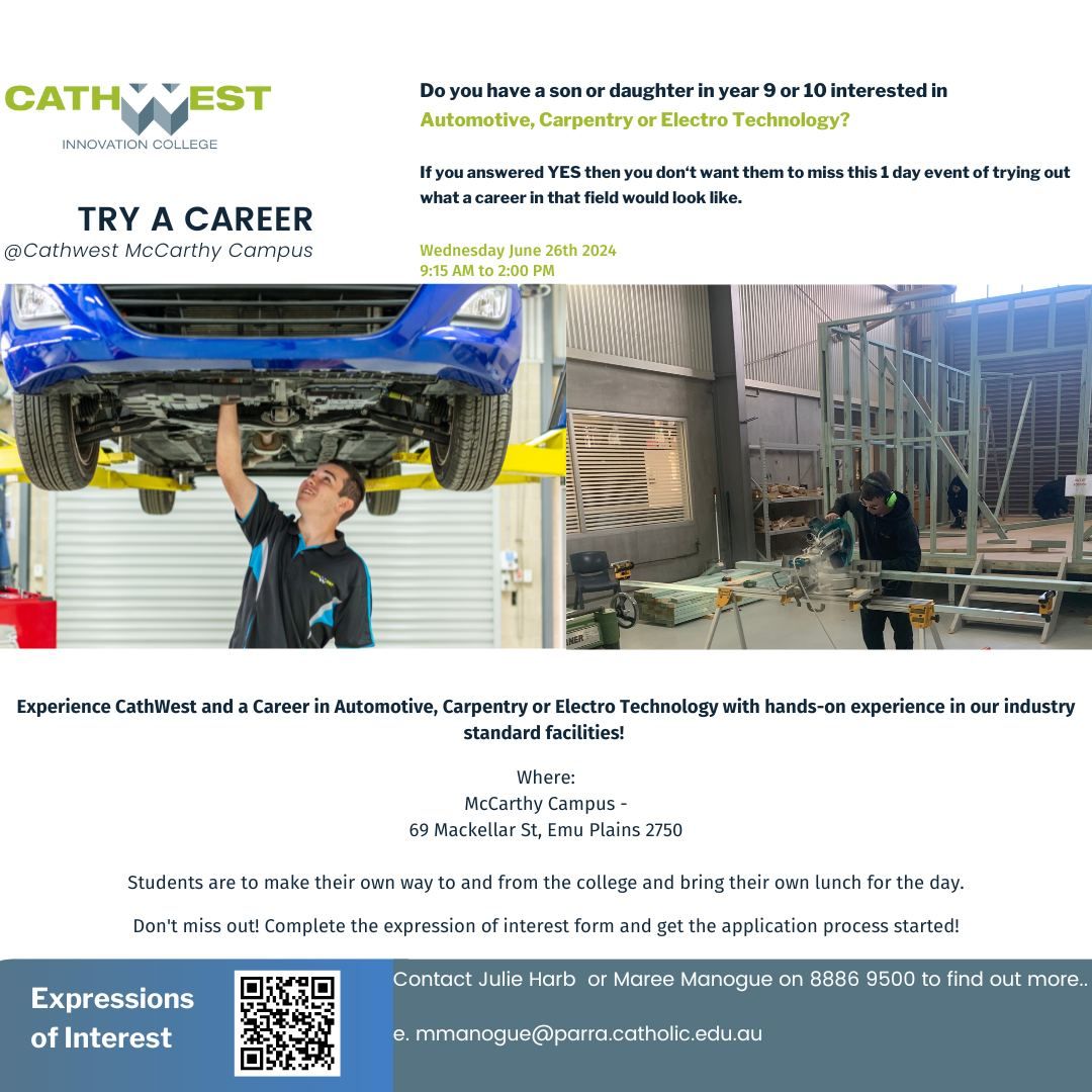Try A Career @ McCarthy: Automotive, Carpentry or Electro Technology