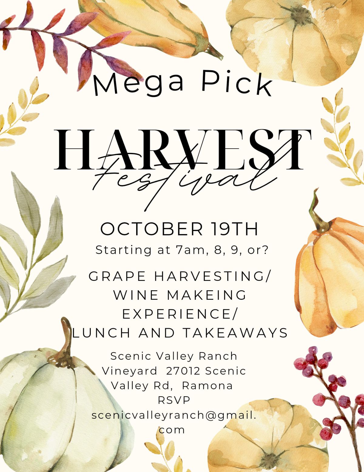 Mega Pick Harvest Festival 