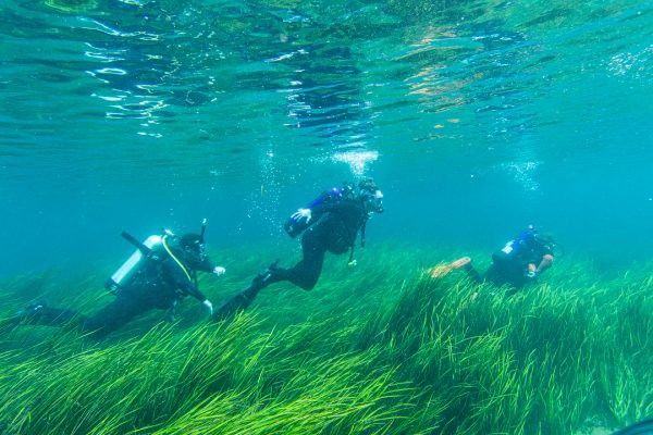 Rainbow River Drift Dive