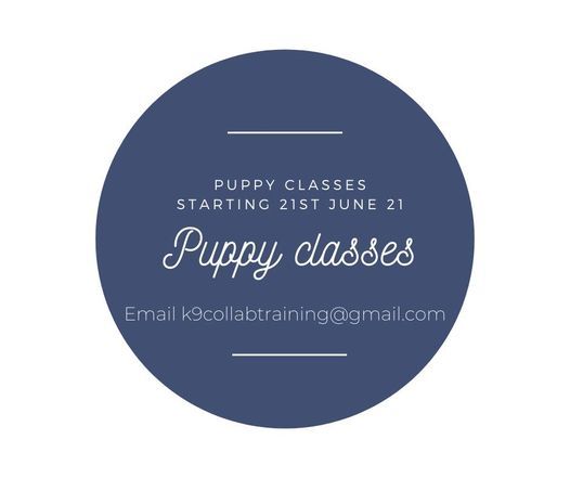 Puppy classes