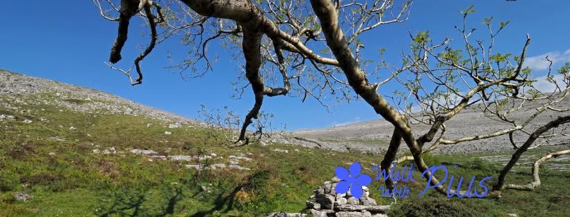 Colman\u2019s Hermitage Walk, The Burren, County Clare