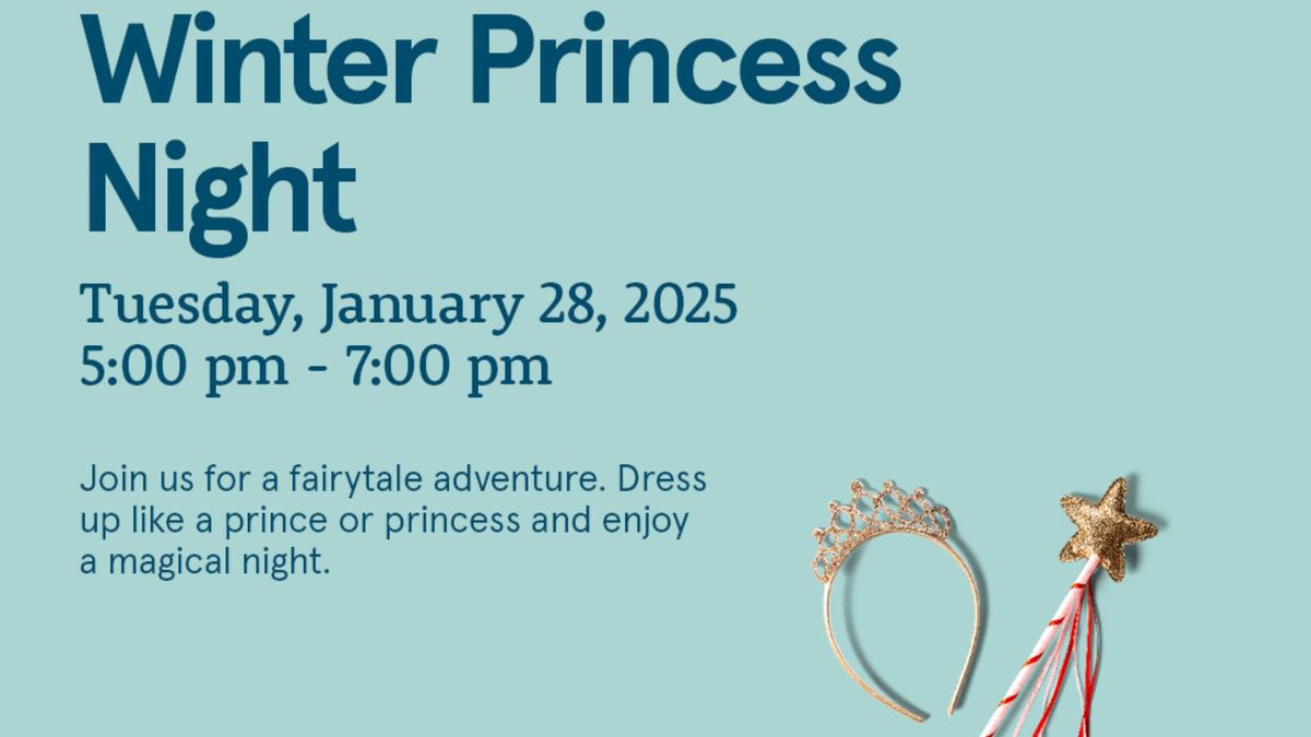 Winter Princess Night