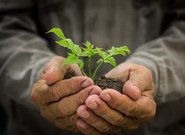 Troc'Jardin et vente de brioches du CCAS