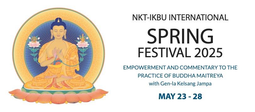 International Spring Festival 