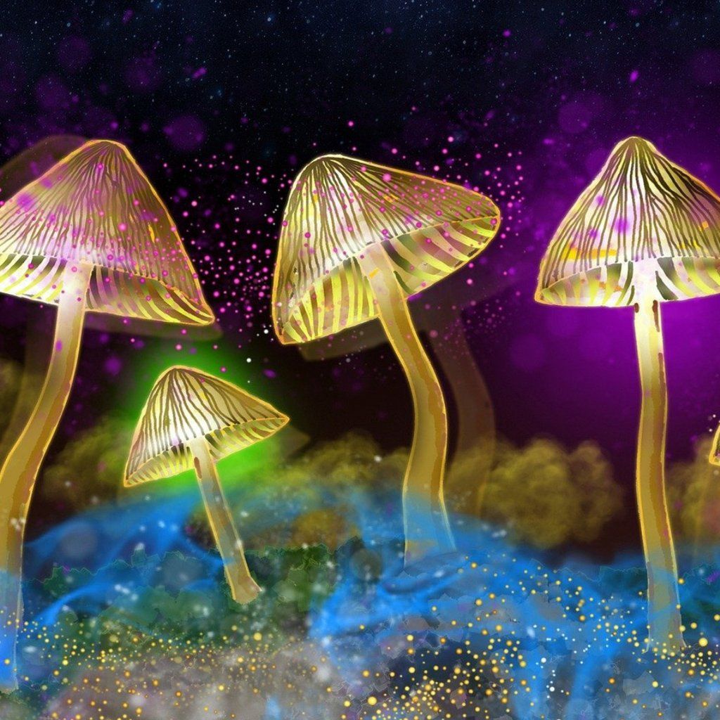 The Science of Psychedelics with Dr Sam Gandy