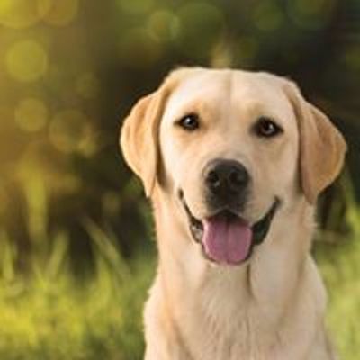 Southeastern Guide Dogs