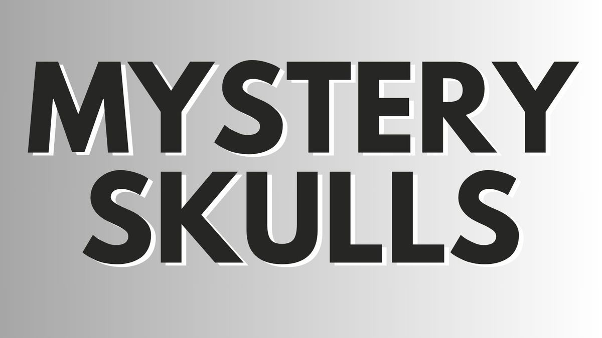 Parking Mystery Skulls (21+)