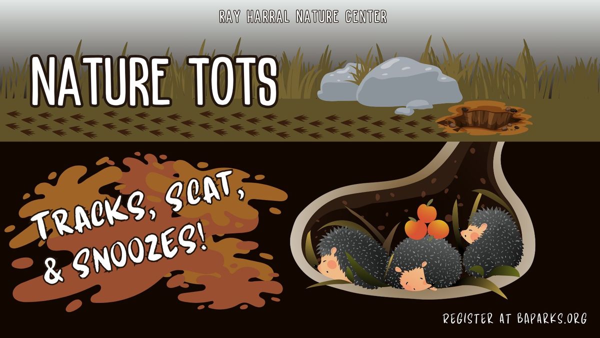 Nature Tots - Tracks, Scat, and Snoozes