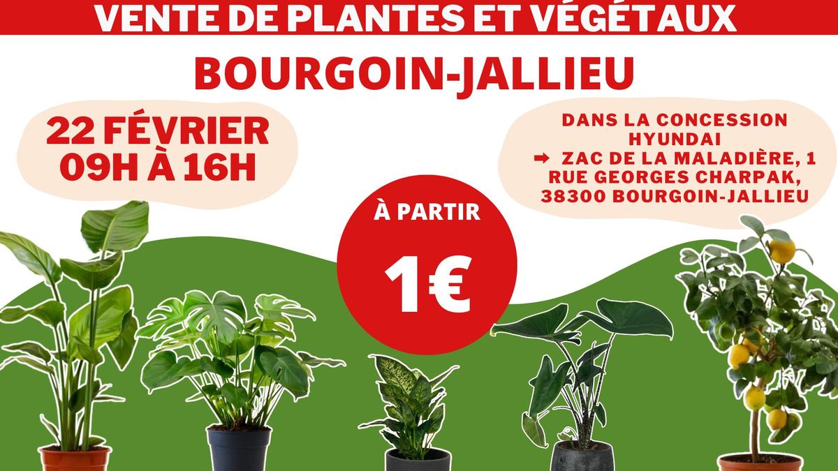 BOURGOIN-JALLIEU - V\u00e9g\u00e9taux et Plantes \u00e0 partir de 1\u20ac by Plantes Addict