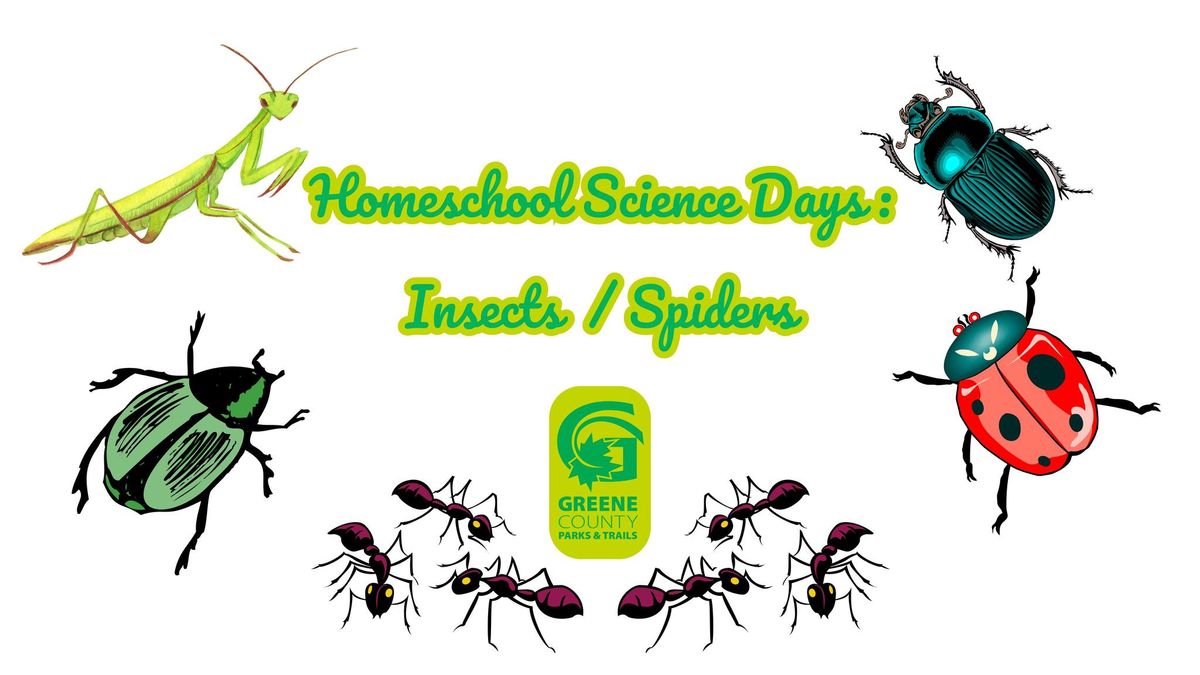 Homeschool Science Days: Insects \/ Spiders