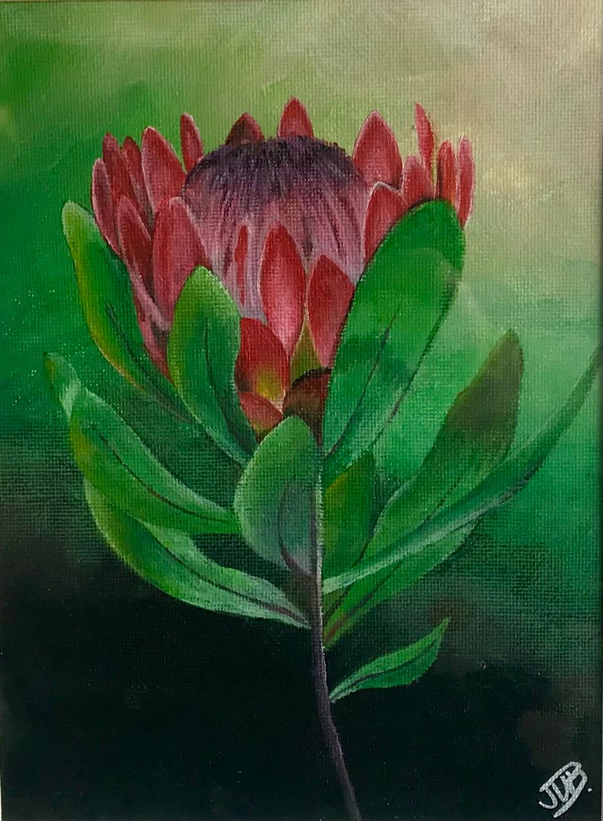  Friday 25th Oct 6.30pm "Protea" by Joanne Barnes