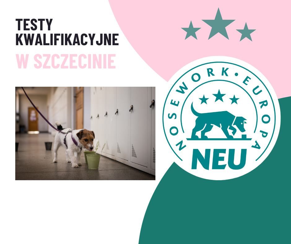 Testy Kwalifikacyjne Nosework Europa w Szczecinie