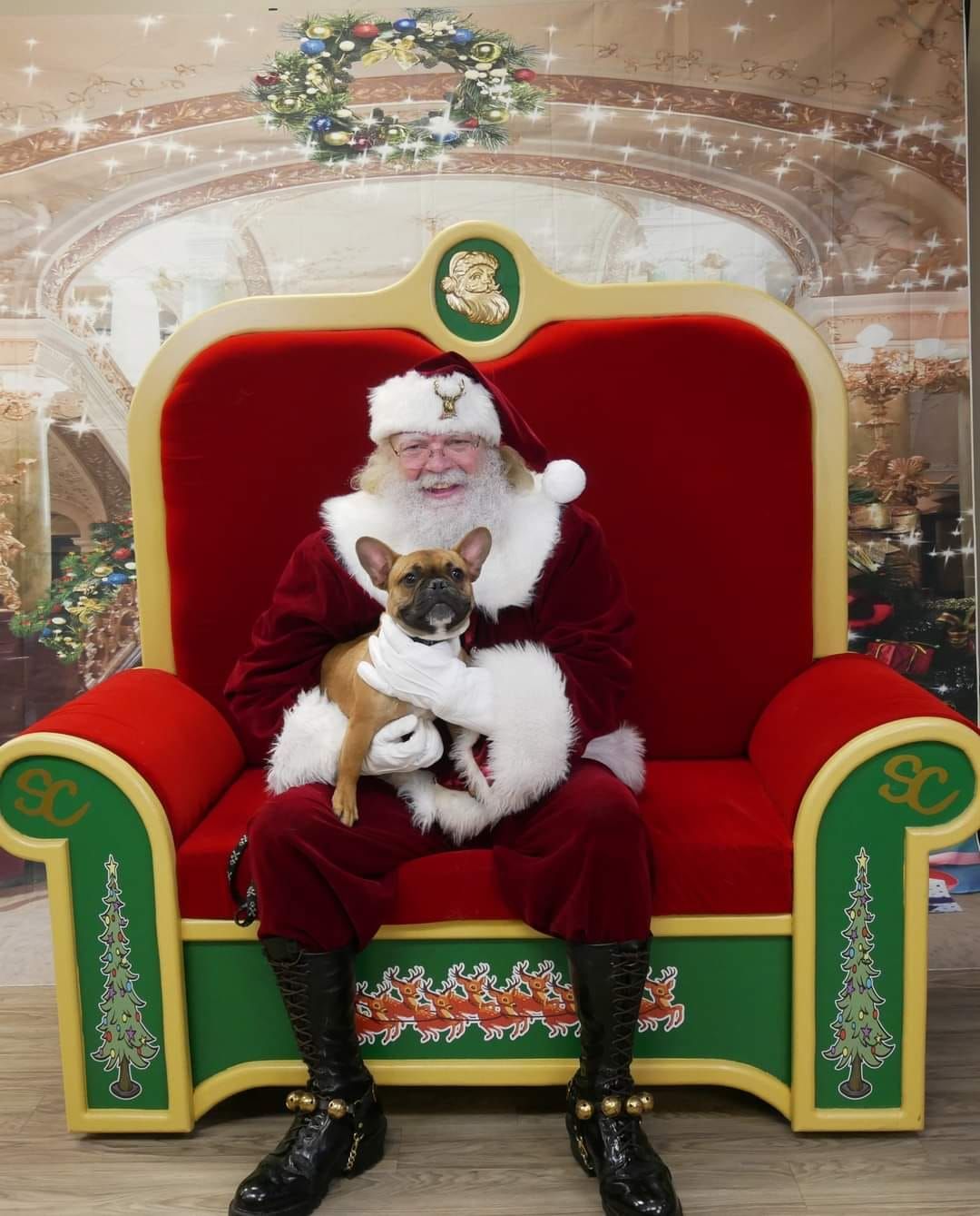 Photos with Santa 2024