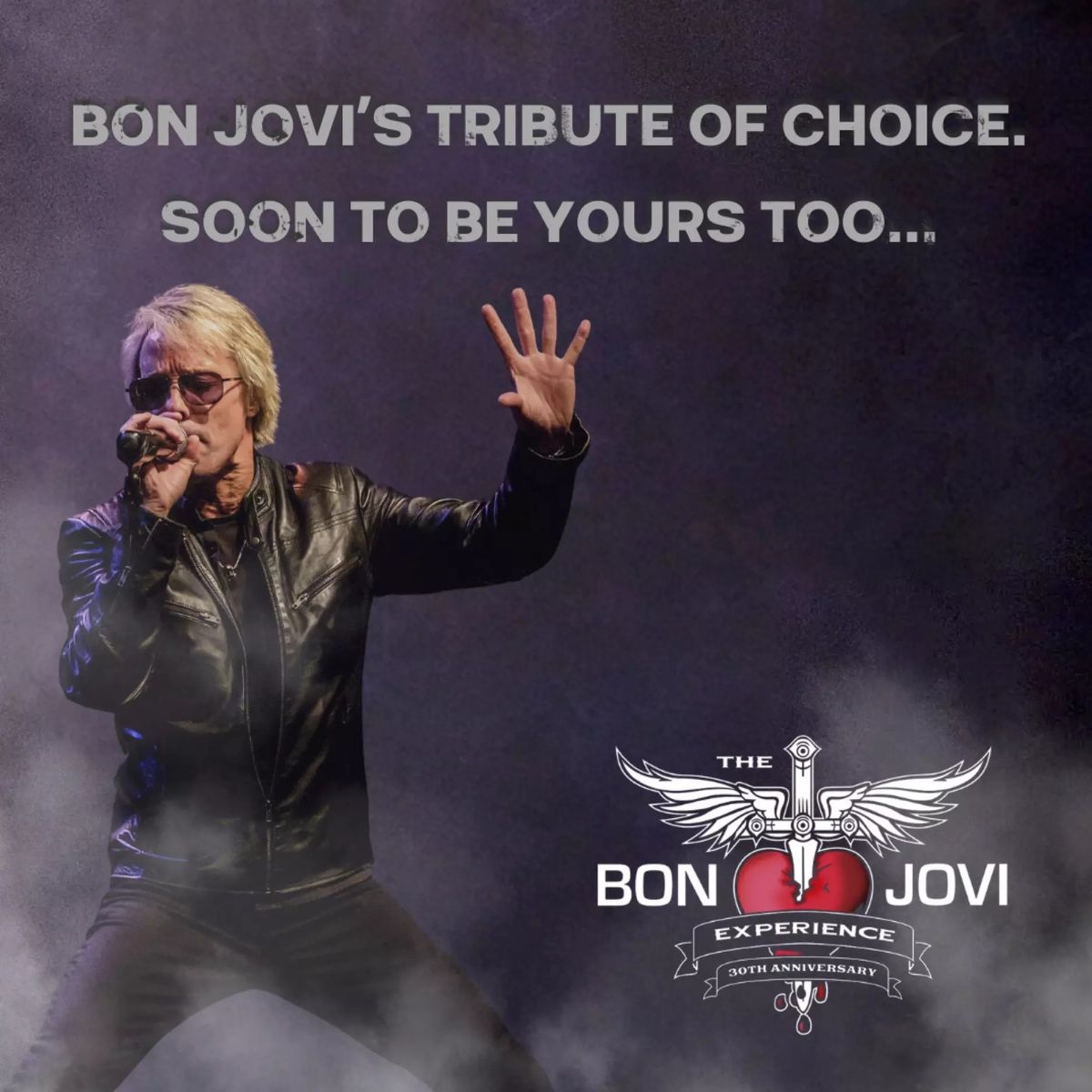 The Bon Jovi Experience