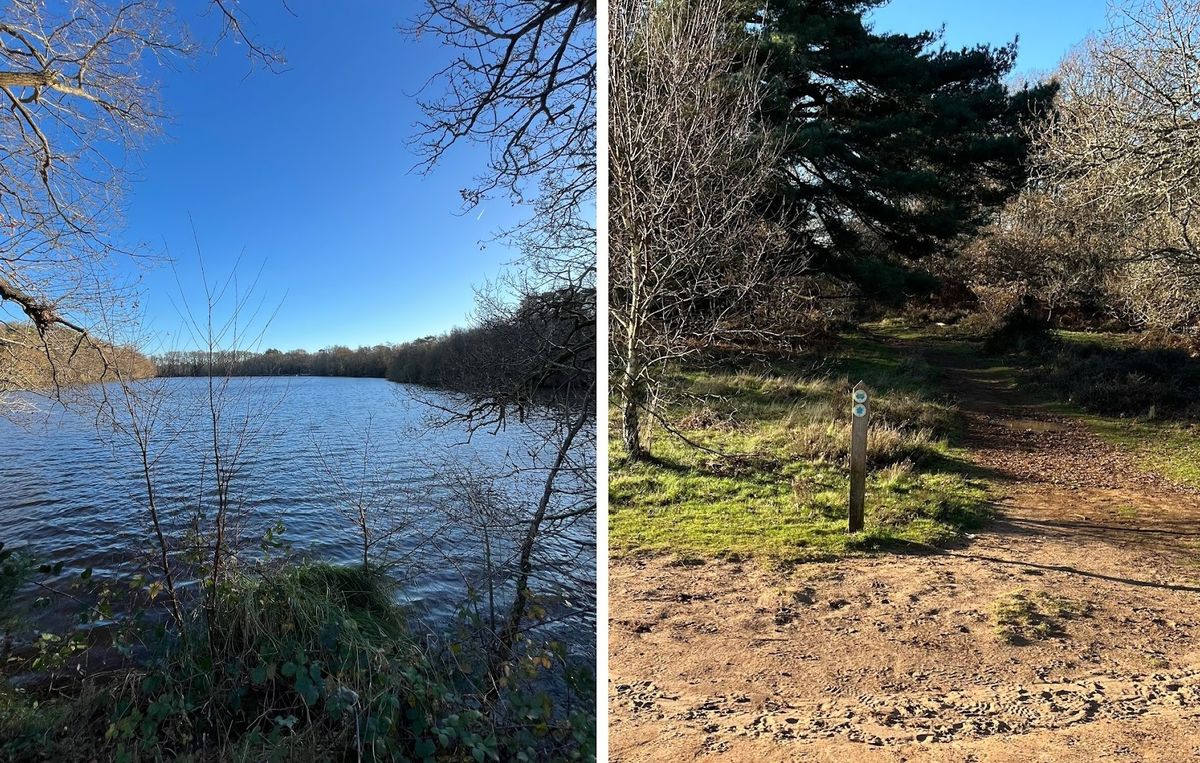 Mountain Bike Orienteering - Elstead, Surrey Hills