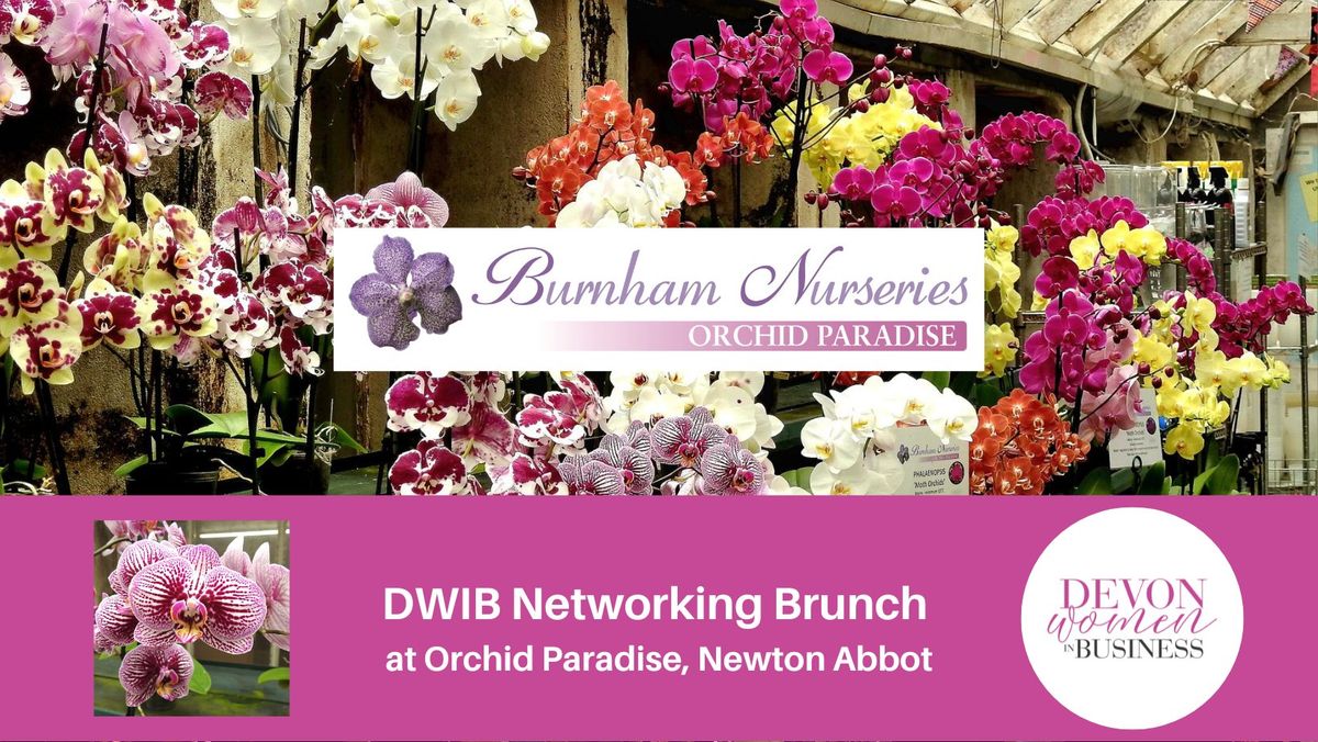 DWIB Networking Brunch at Orchid Paradise