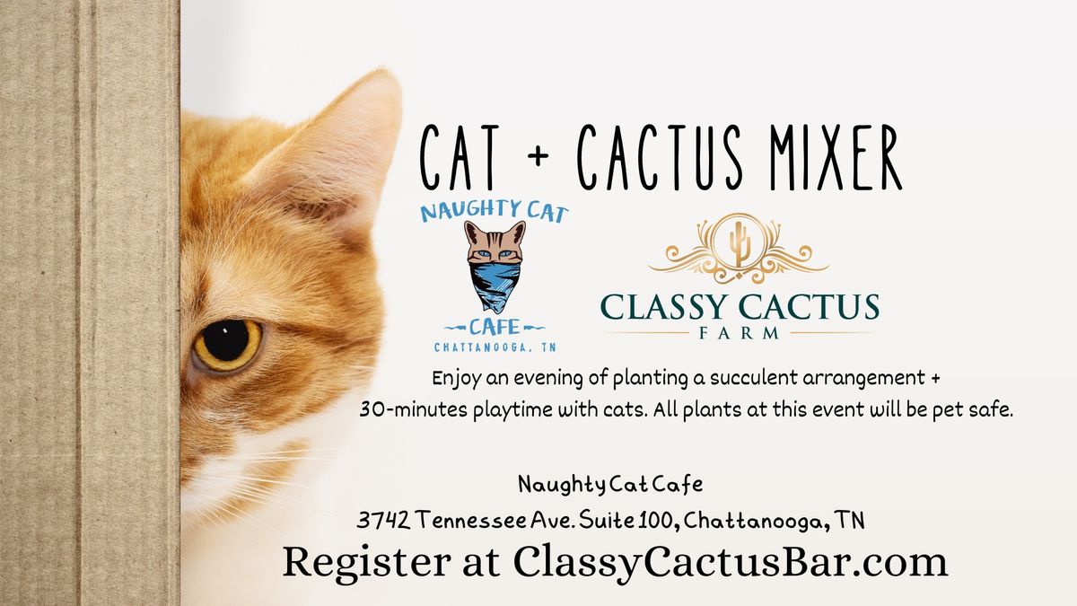 Cat + Cactus Mixer @ Naughty Cat Cafe (Chattanooga, TN)