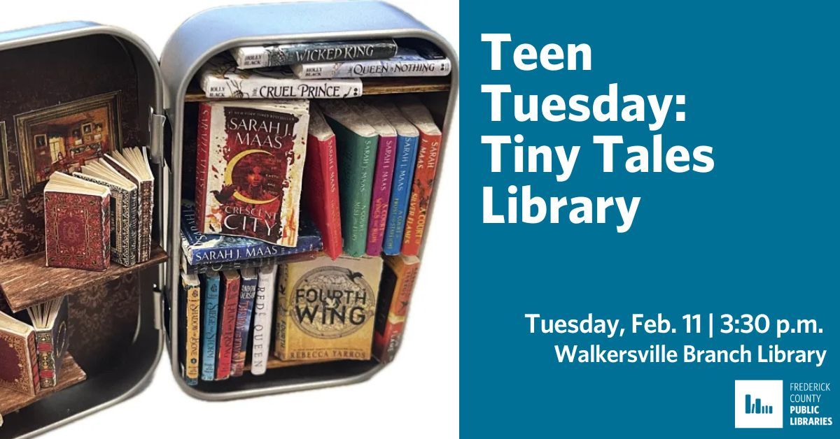 Teen Tuesday: Tiny Tales Library