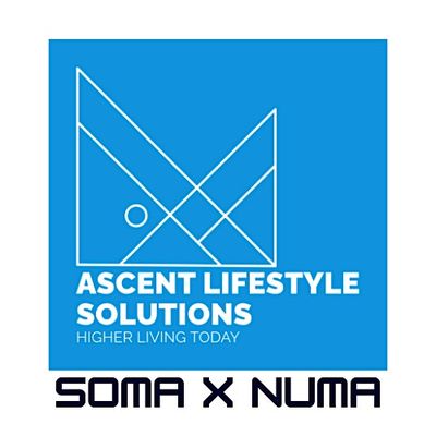 SOMA x NUMA