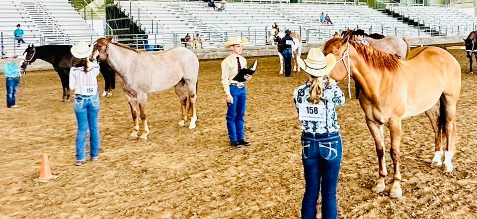 LSYHA Open Ranch Show