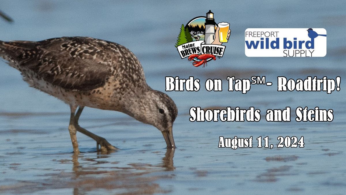 Birds on Tap\u2120 - RoadTrip! Shorebirds and Steins