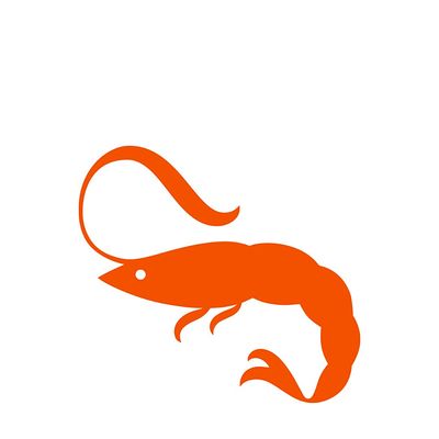 Crevette Design Studio