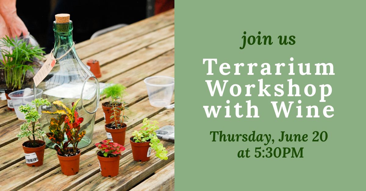 Terrarium Workshop with Wine