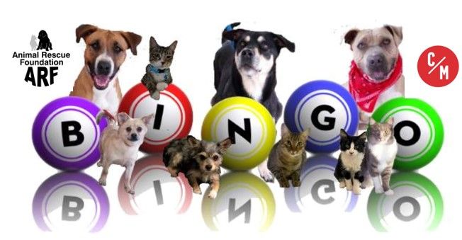 ARF BINGO Fundraiser