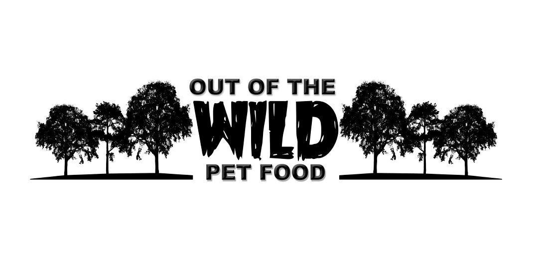 Out of the Wild Fun day