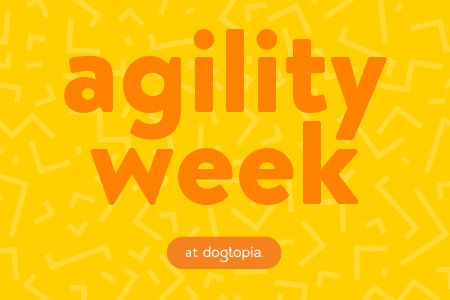 Agility Week